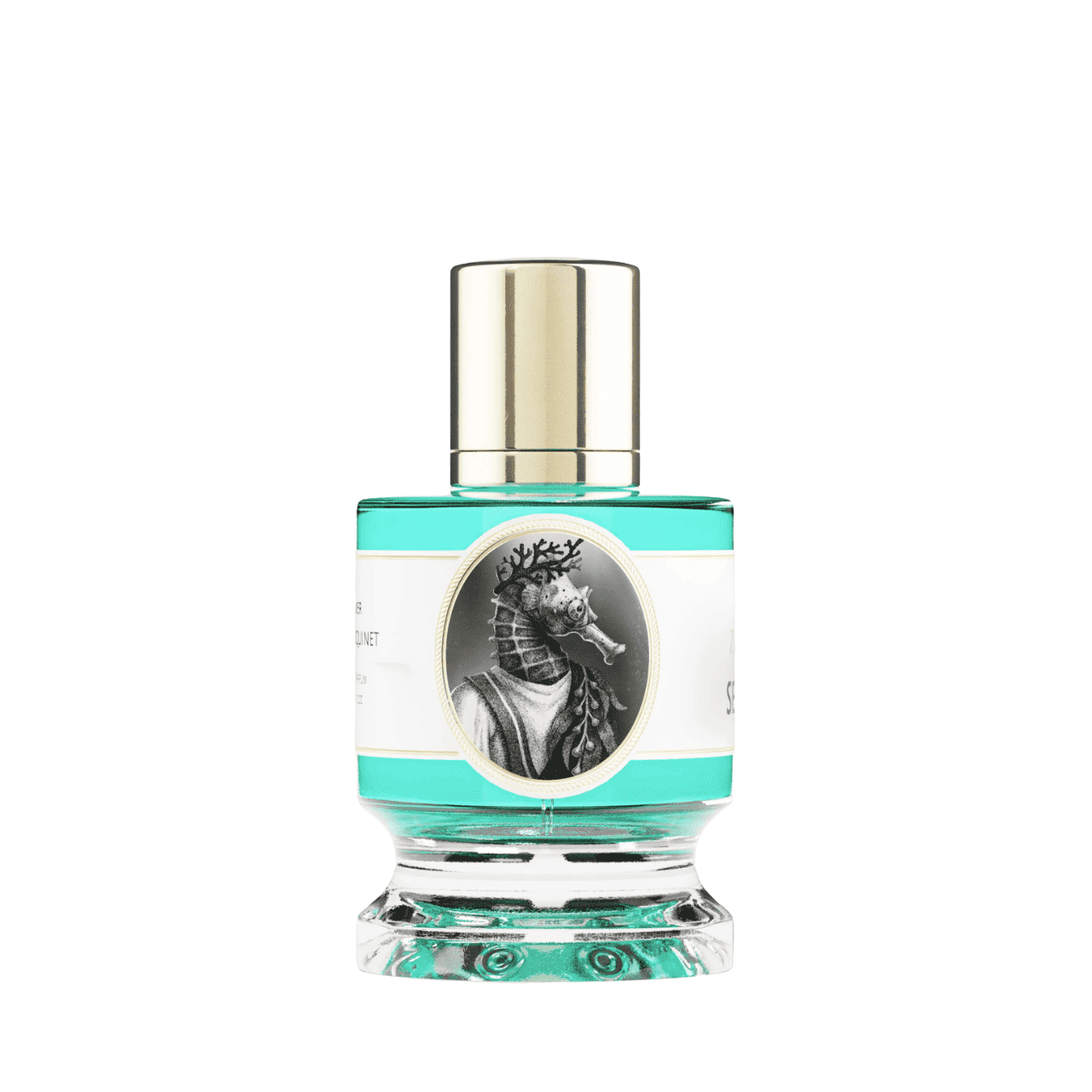 Zoologist Seahorse