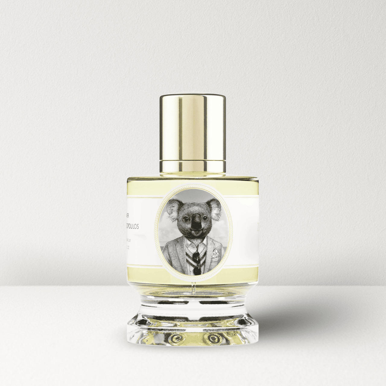 Zoologist Koala Tester - Mystic Store