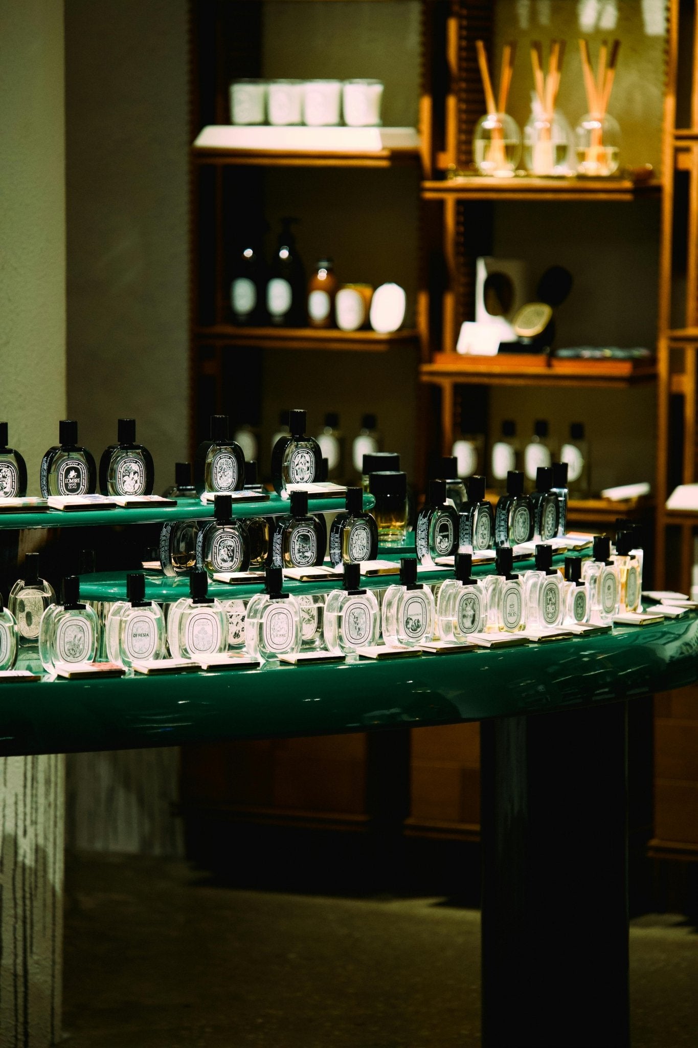 Perfume Myths Debunked: What You Really Need to Know About Your Fragrance - Mystic Store