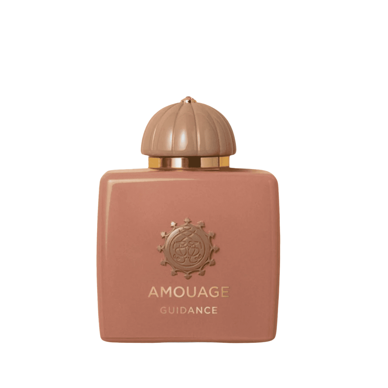 Amouage Guidance