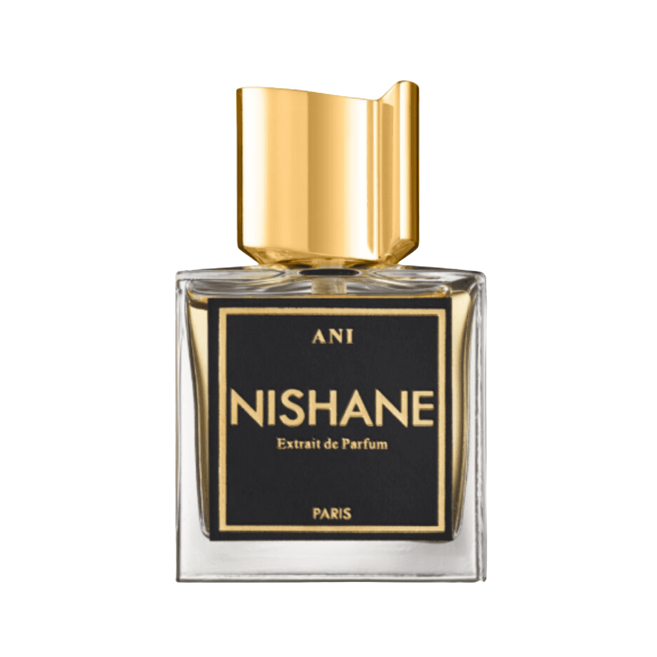 Nishane Ani