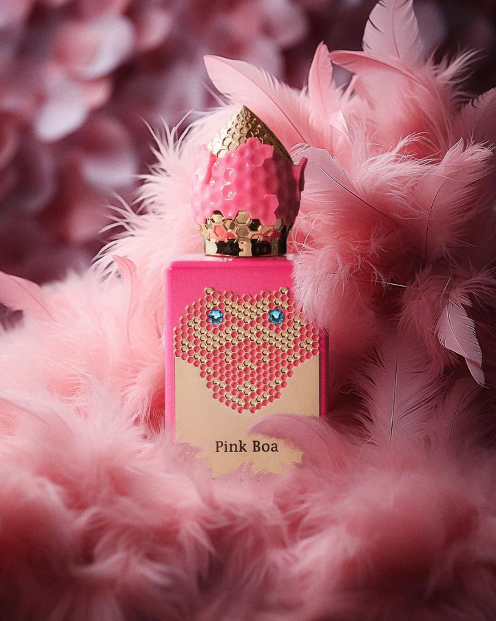 Stéphane Humbert Lucas Pink Boa