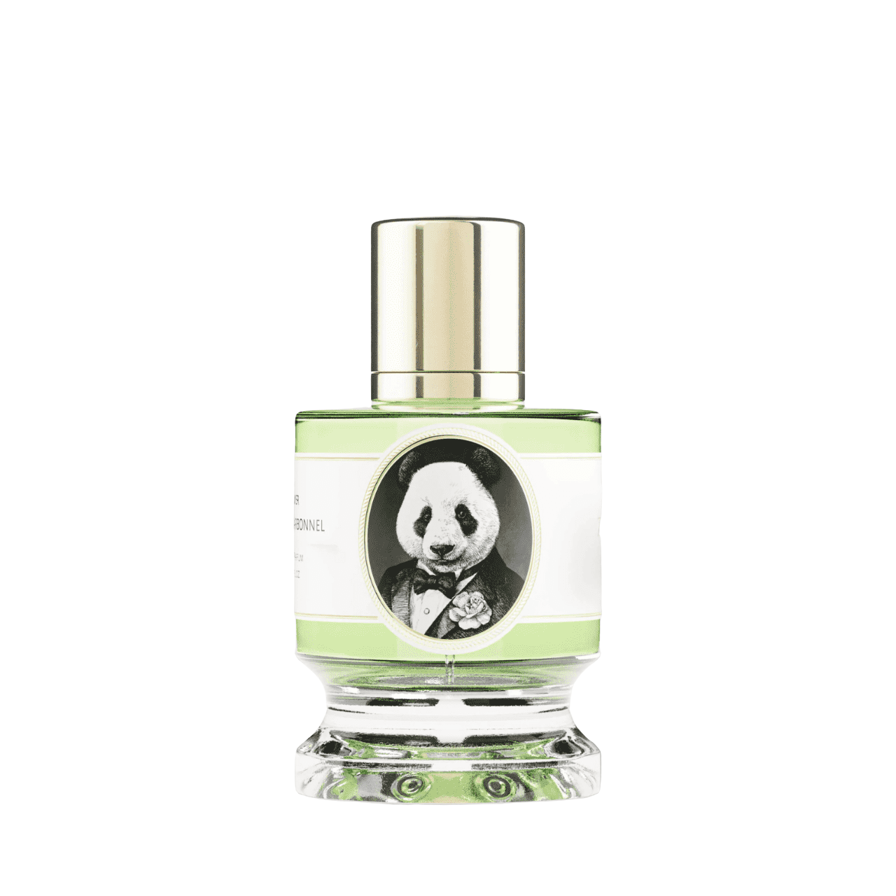 Zoologist Panda