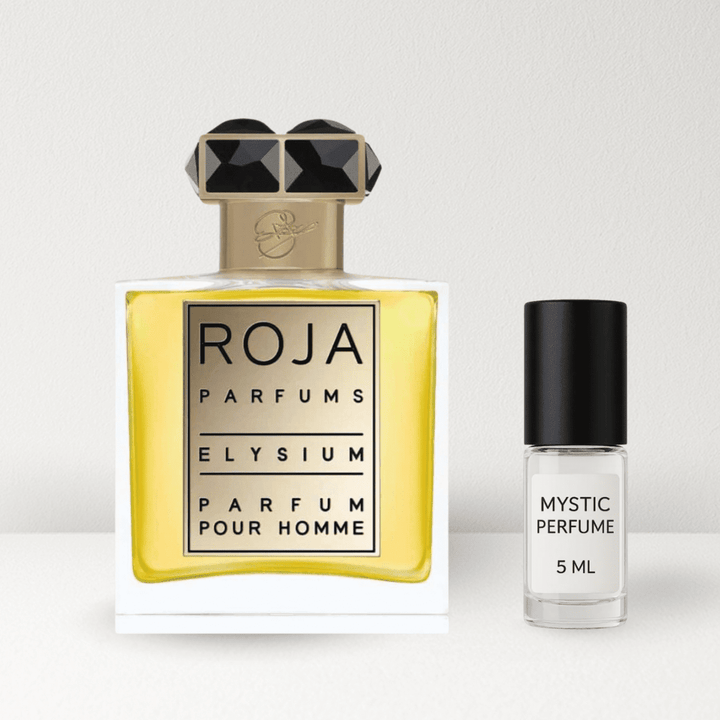 Roja Elysium Parfum Pour Homme - Mystic Store