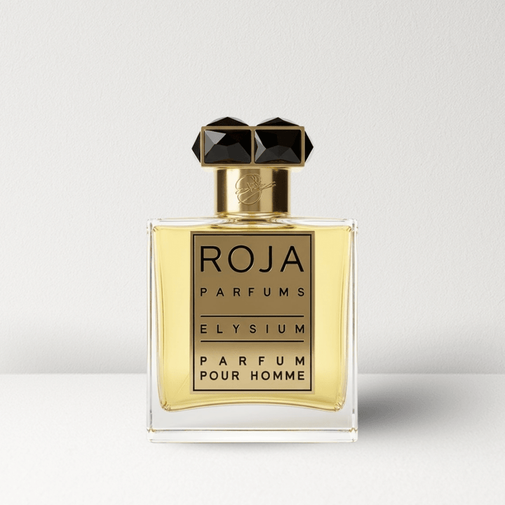 Roja Elysium Parfum Pour Homme - Mystic Store